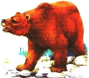 Бурый медведь — самый крупный и сильный хищник, живущий в лесу.