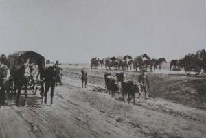 Переселение первых немцев на Алтай