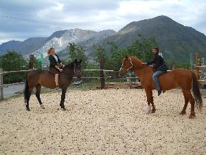 Удивительные лошади Хибинской долины