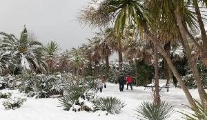 Мы надеемся, что зима 2014 г. в Сочи порадует нас снегом.